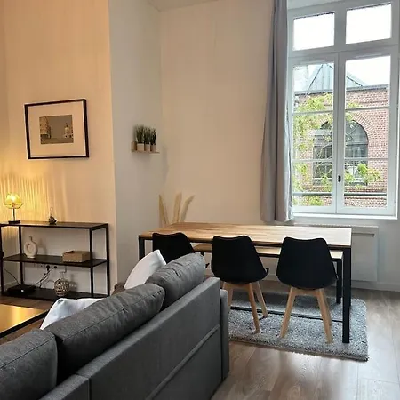 Vieux-lille Renove Avec Лилль